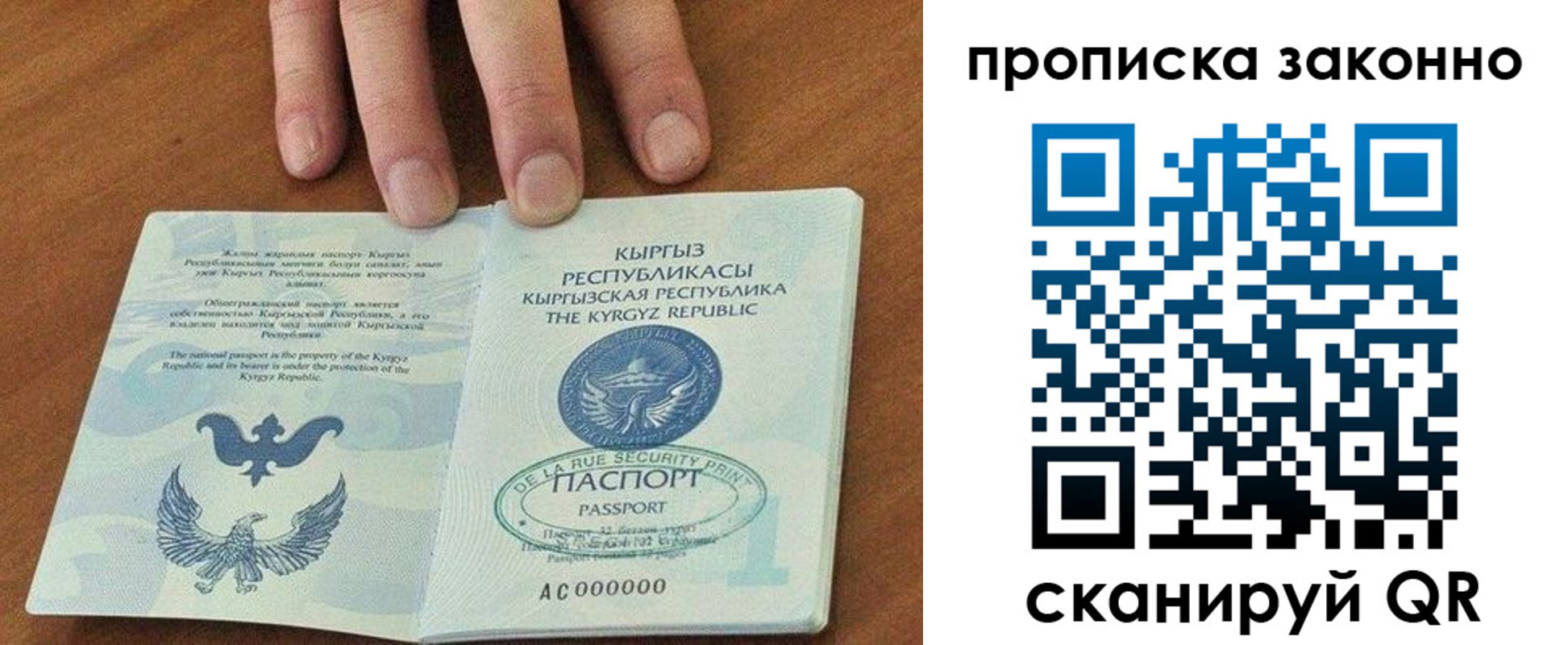 прописка штамп в Александровске